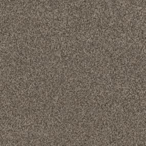 Casual Texture Rodeo Beige/Tan Carpet