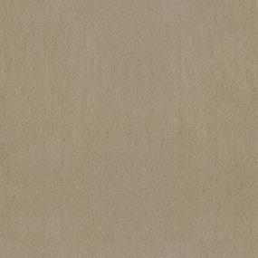 Textured Saxony Happy Valley Beige/Tan Carpet