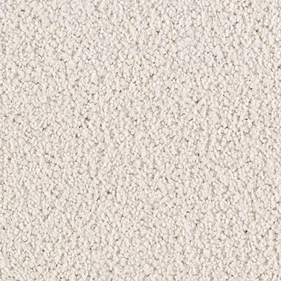 Cut Pile Designer White White Carpet