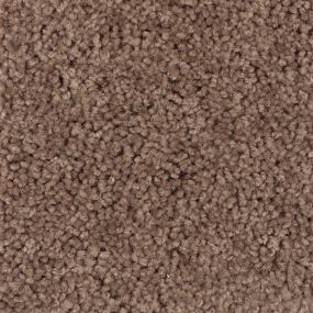 Texture Bare Essence Brown Carpet