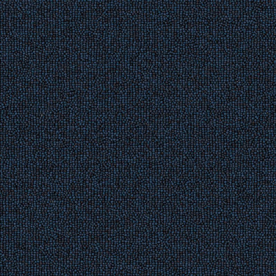Cut/Uncut Indigo Blue Carpet