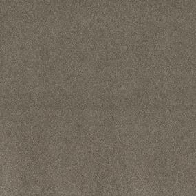 Textured Saxony Barrington Brown Carpet