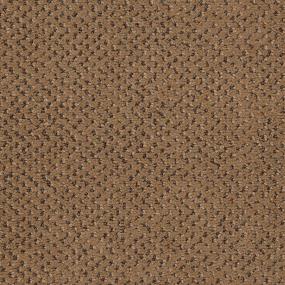 Pattern River Rock Beige/Tan Carpet