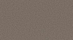 Textured Saxony Wild Oak Beige/Tan Carpet