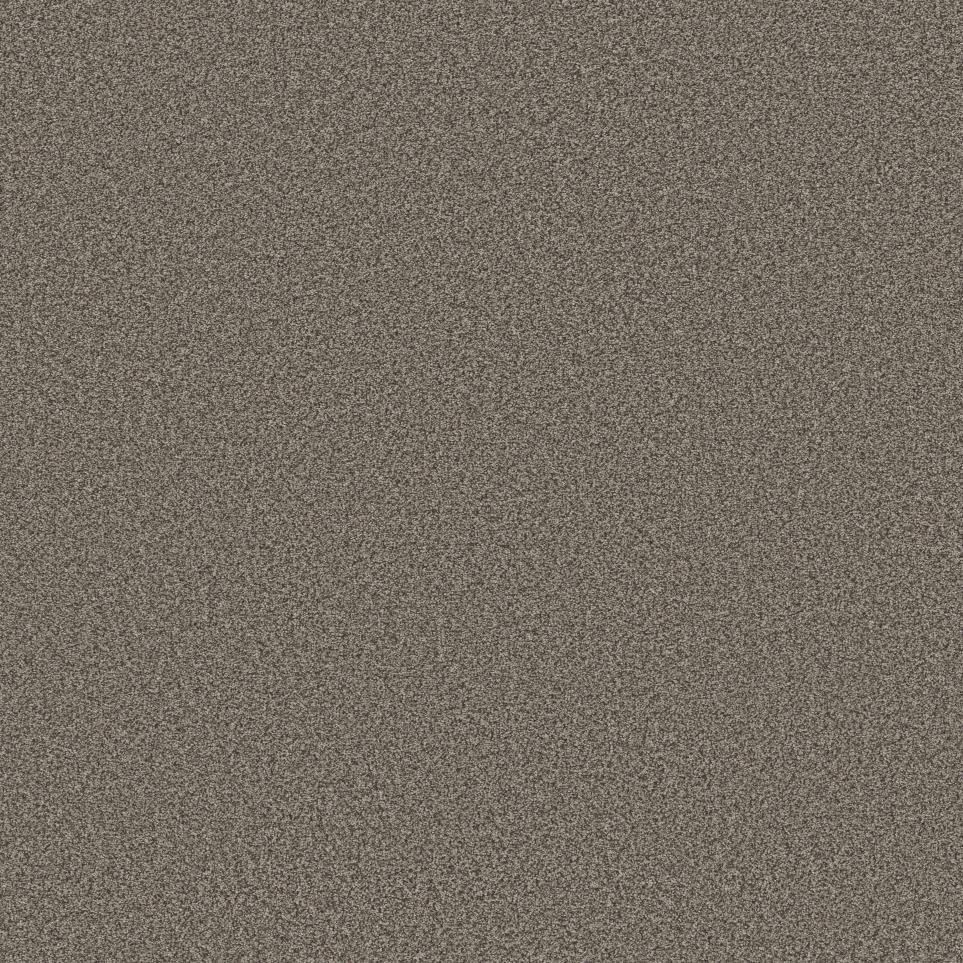 Texture Wild Oak Beige/Tan Carpet