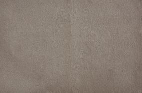 Plush Taupe Beige/Tan Carpet