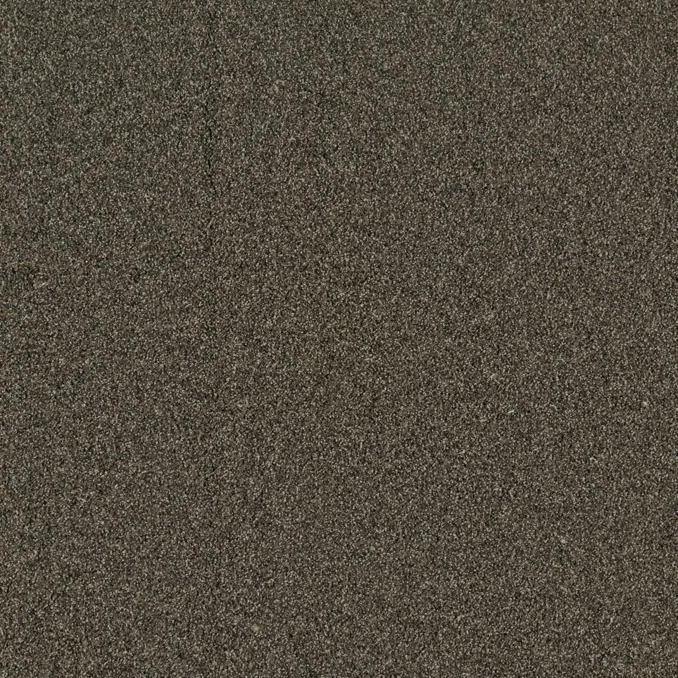 Texture Greige Whisper Brown Carpet