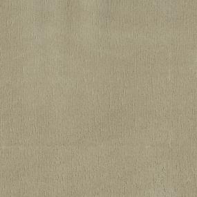 Pattern Warm Oats Beige/Tan Carpet