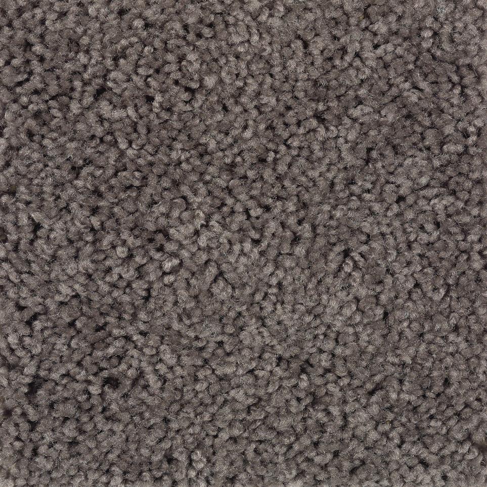Textured Saxony Cocoa Powder Brown Carpet