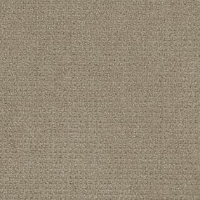 Pattern Testament Brown Carpet