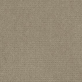 Pattern Testament Brown Carpet