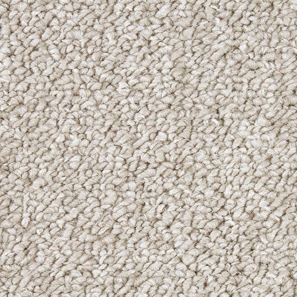 Loop Frosty Morn Gray Carpet