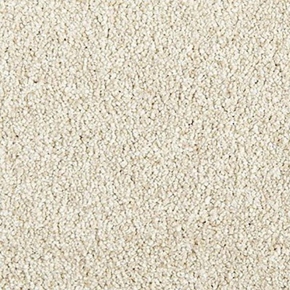 Textured Saxony Faint Echo Beige/Tan Carpet