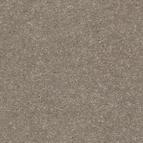 Textured Saxony Sand Dune Gray Carpet