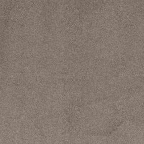 Textured Saxony Cambridge Beige/Tan Carpet