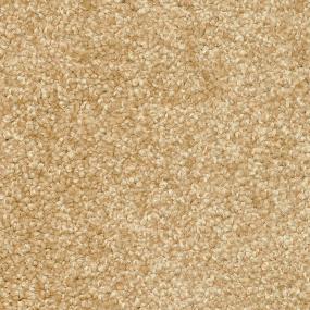 Casual Texture Hudson River Beige/Tan Carpet