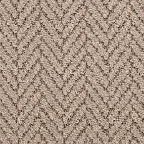 Pattern Seagull Brown Carpet