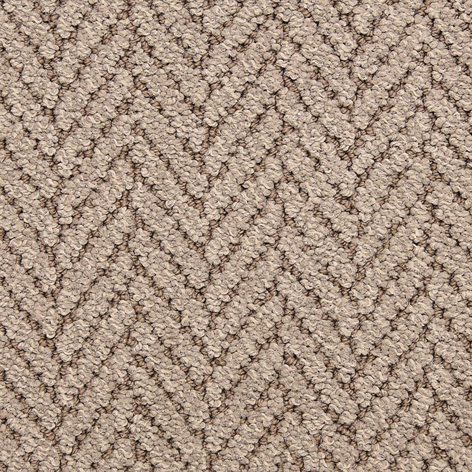 Pattern Seagull Brown Carpet