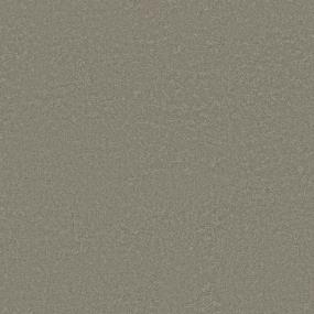 Plush Saxony Minimal Beige/Tan Carpet