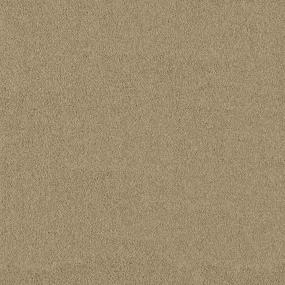 Textured Saxony Winter Bark Beige/Tan Carpet
