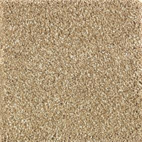 Textured Saxony Winter Bark Beige/Tan Carpet