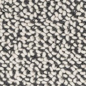 Pattern Nightfall Black Carpet