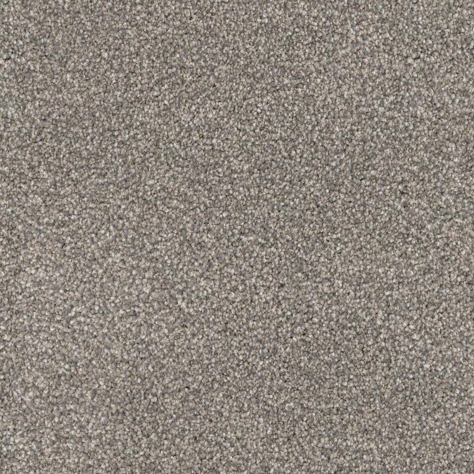 Textured Saxony Greyhound Gray Carpet