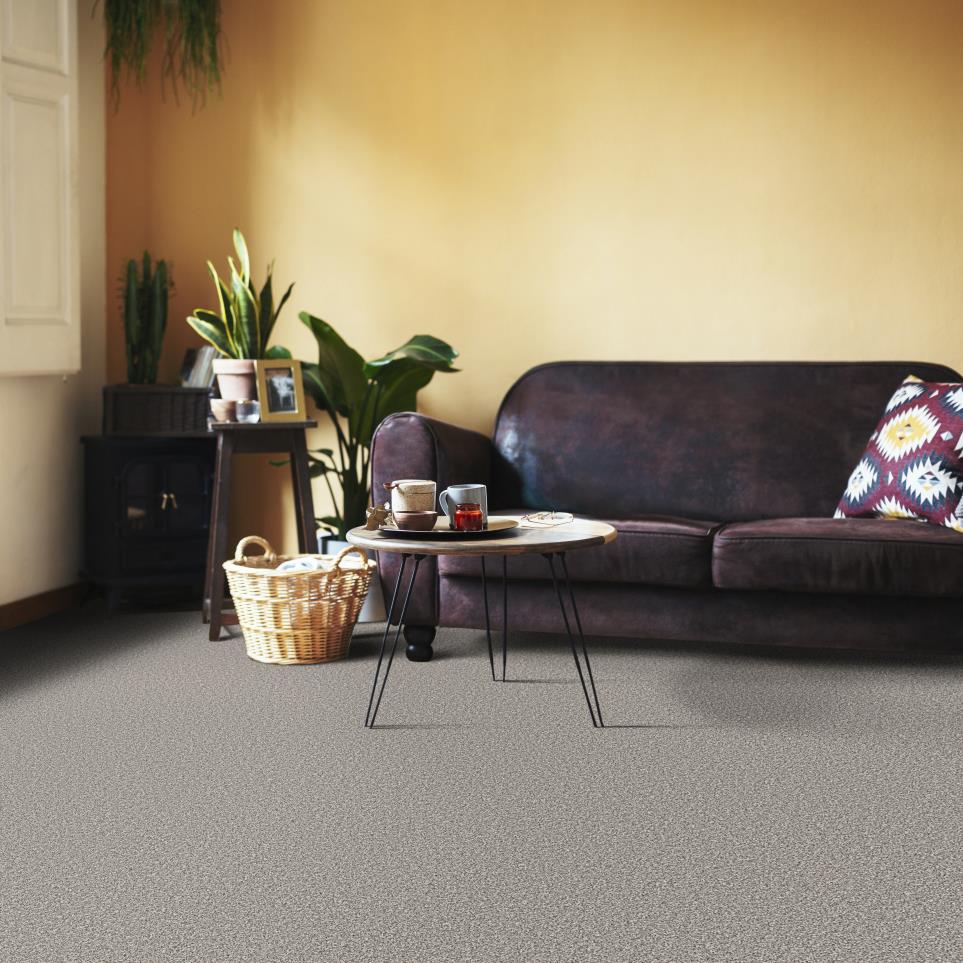 Texture Pebble Gray Carpet