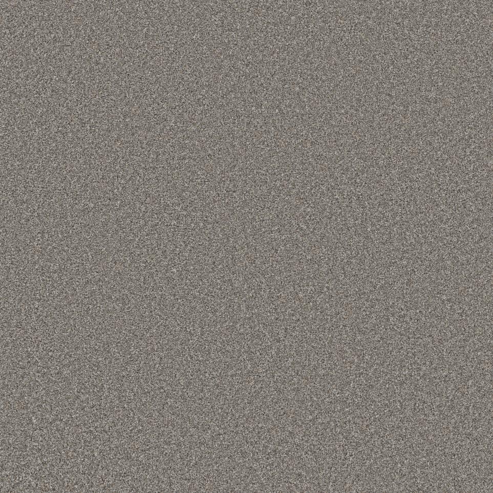 Texture Pebble Gray Carpet