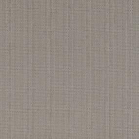 Pattern Urban Putty Beige/Tan Carpet