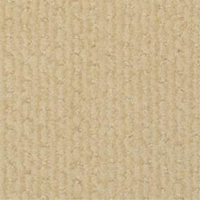 Pattern Etiquette Beige/Tan Carpet