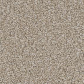 Texture Bliss Beige/Tan Carpet