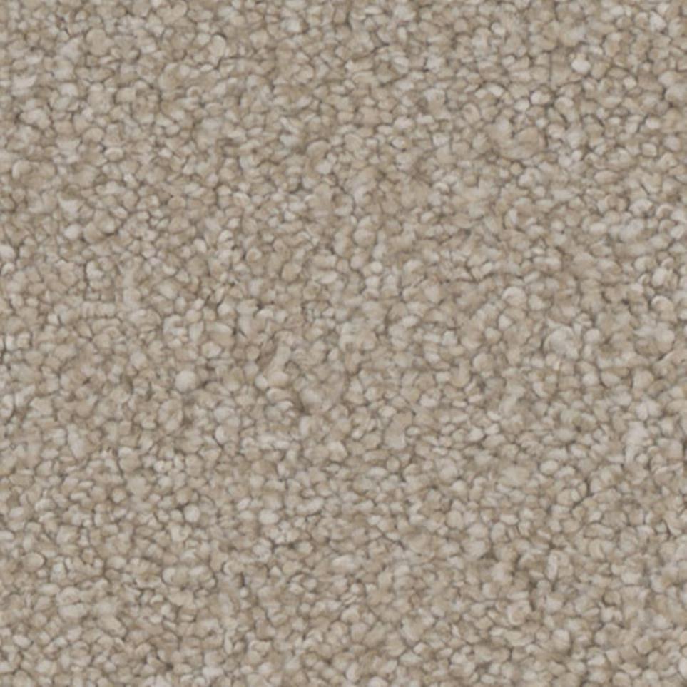 Textured Saxony Bliss Beige/Tan Carpet