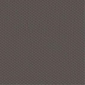 Pattern Creekbend Brown Carpet