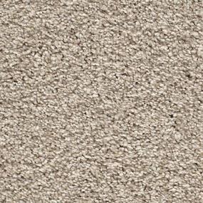 Textured Saxony Radiance Brown Carpet