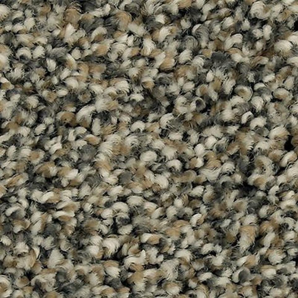 Textured Saxony Cedar Chest Brown Carpet