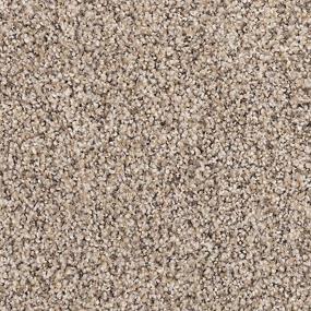 Textured Saxony Driftwood Mist Brown Carpet