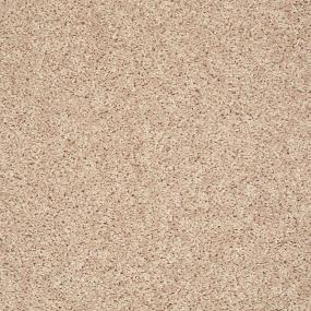 Textured Saxony Canvas Beige/Tan Carpet