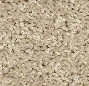 Textured Saxony Raw Silk Beige/Tan Carpet