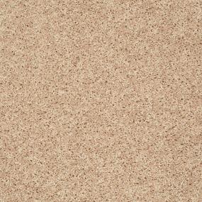 Textured Saxony Raw Silk Beige/Tan Carpet