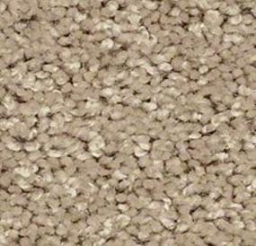 Textured Saxony Dunes Beige/Tan Carpet