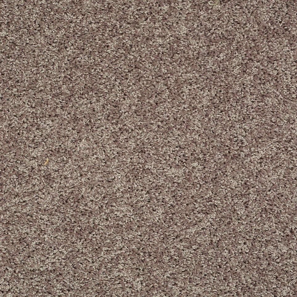 Texture Stainless Gray Carpet