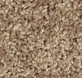 Textured Saxony Camel Beige/Tan Carpet