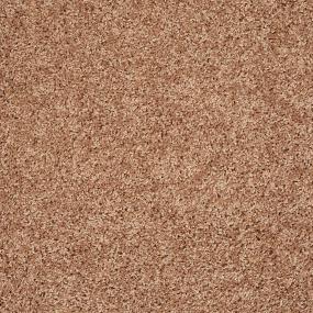 Textured Saxony Camel Beige/Tan Carpet