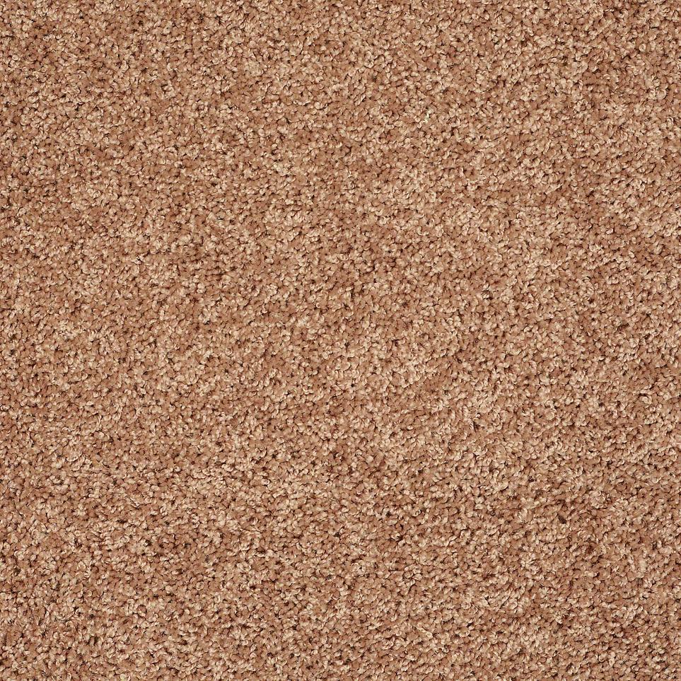 Texture Camel Beige/Tan Carpet