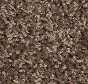 Textured Saxony Chestnut Brown Carpet