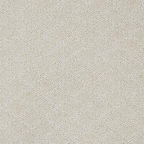 Pattern Sequin Beige/Tan Carpet