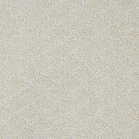 Pattern Sequin Beige/Tan Carpet