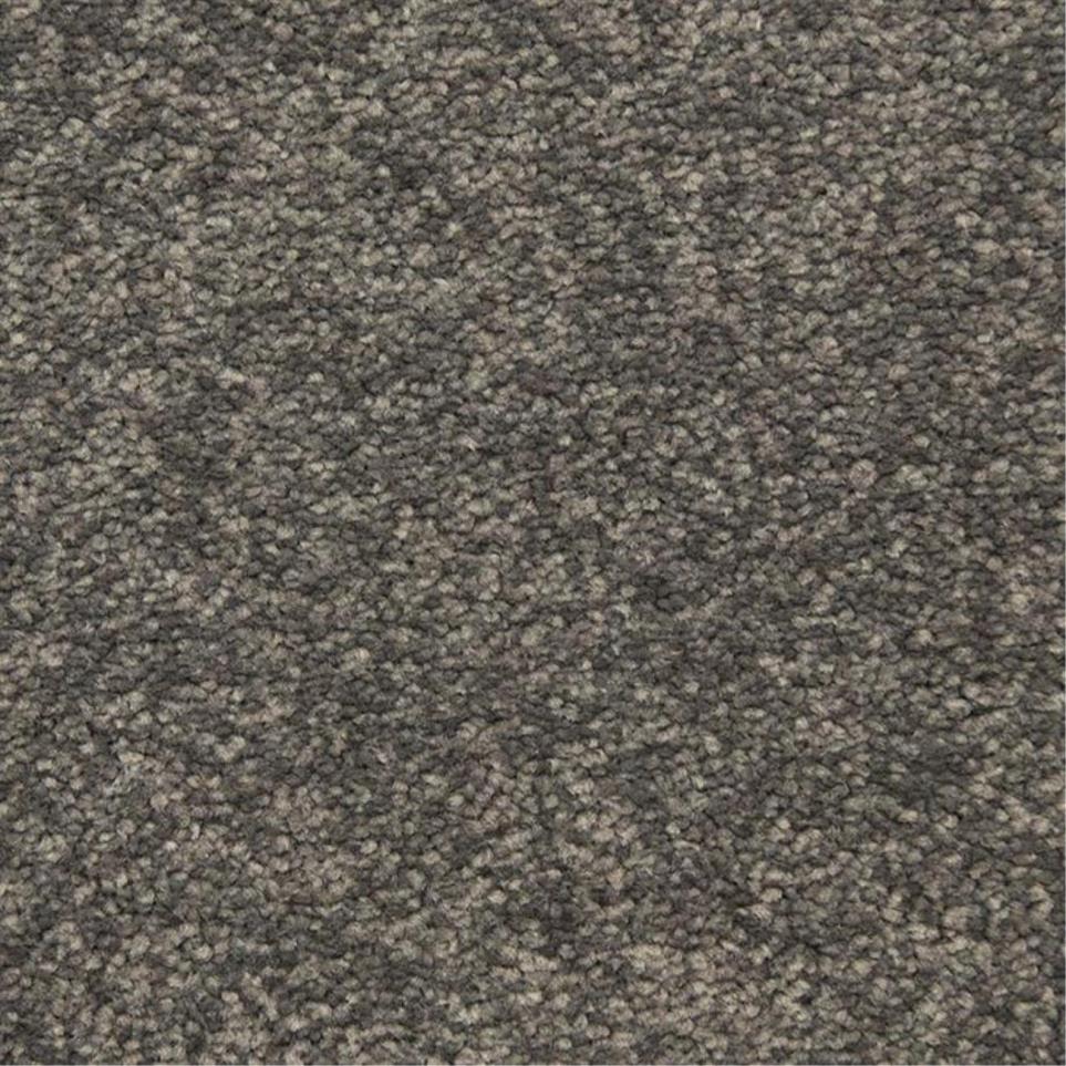 Casual Texture City Limits Gray Carpet