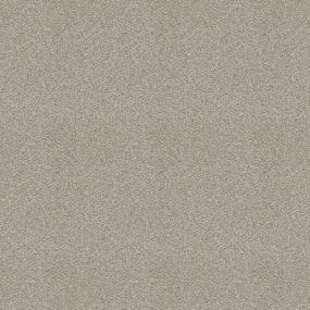 Plush Saxony Traditional Beige/Tan Carpet